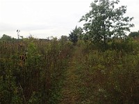 Lefurge Nature Preserve.  Lefurge Nature Preserve, part of the Southeast Michigan Land Conservancy holdings. : Ann Arbor, kasdorf, nature preserve, Trail Run