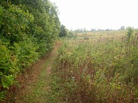 Lefurge Nature Preserve.  Lefurge Nature Preserve, part of the Southeast Michigan Land Conservancy holdings. : Ann Arbor, kasdorf, nature preserve, Trail Run