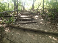 A run through Bird Hills, Kuebler Langford and Barton Parks  A run through Bird Hills, Kuebler Langford and Barton Parks on a nice afternoon. : Ann Arbor, kasdorf, running, Trail Run