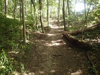 A run through Bird Hills, Kuebler Langford and Barton Parks  A run through Bird Hills, Kuebler Langford and Barton Parks on a nice afternoon. : Ann Arbor, kasdorf, running, Trail Run
