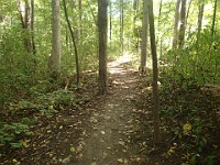 A run through Bird Hills, Kuebler Langford and Barton Parks  A run through Bird Hills, Kuebler Langford and Barton Parks on a nice afternoon. : Ann Arbor, kasdorf, running, Trail Run
