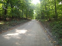 A run through Bird Hills, Kuebler Langford and Barton Parks  A run through Bird Hills, Kuebler Langford and Barton Parks on a nice afternoon. : Ann Arbor, kasdorf, running, Trail Run