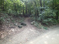 A run through Bird Hills, Kuebler Langford and Barton Parks  Making the loop back to the entrance of Bird Hills. This is on the South Side of Bird Road. There is a small parking area across the road from here. : Ann Arbor, kasdorf, running, Trail Run