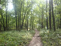 A run through Bird Hills, Kuebler Langford and Barton Parks  A run through Bird Hills, Kuebler Langford and Barton Parks on a nice afternoon. : Ann Arbor, kasdorf, running, Trail Run