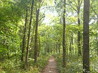 A run through Bird Hills, Kuebler Langford and Barton Parks  A run through Bird Hills, Kuebler Langford and Barton Parks on a nice afternoon. : Ann Arbor, kasdorf, running, Trail Run