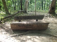 A run through Bird Hills, Kuebler Langford and Barton Parks  A rustic style bench on the trail for weary hikers. : Ann Arbor, kasdorf, running, Trail Run