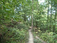 A run through Bird Hills, Kuebler Langford and Barton Parks  A run through Bird Hills, Kuebler Langford and Barton Parks on a nice afternoon. : Ann Arbor, kasdorf, running, Trail Run