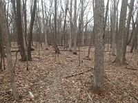 Cherry Hill Nature Preserve 2017.  Cherry Hill Nature Preserve 2017. : kasdorf, nature preserve, Rave Run, running, Trail Run