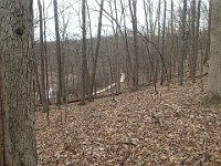 Cherry Hill Nature Preserve 2017.  Cherry Hill Nature Preserve 2017. : kasdorf, nature preserve, Rave Run, running, Trail Run