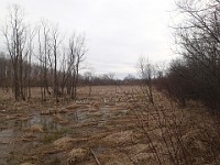 Cherry Hill Nature Preserve 2017.  Cherry Hill Nature Preserve 2017. : kasdorf, nature preserve, Rave Run, running, Trail Run