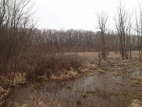 Cherry Hill Nature Preserve 2017.  Cherry Hill Nature Preserve 2017. : kasdorf, nature preserve, Rave Run, running, Trail Run