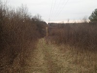 Cherry Hill Nature Preserve 2017.  Cherry Hill Nature Preserve 2017. : kasdorf, nature preserve, Rave Run, running, Trail Run