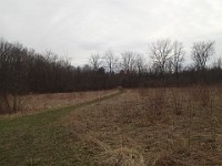 Cherry Hill Nature Preserve 2017.  Cherry Hill Nature Preserve 2017. : kasdorf, nature preserve, Rave Run, running, Trail Run