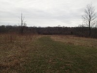 Cherry Hill Nature Preserve 2017.  Cherry Hill Nature Preserve 2017. : kasdorf, nature preserve, Rave Run, running, Trail Run