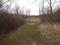 Cherry Hill Nature Preserve 2017.  Cherry Hill Nature Preserve 2017. : kasdorf, nature preserve, Rave Run, running, Trail Run