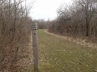Cherry Hill Nature Preserve 2017.  Cherry Hill Nature Preserve 2017. : kasdorf, nature preserve, Rave Run, running, Trail Run
