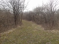 Cherry Hill Nature Preserve 2017.  Cherry Hill Nature Preserve 2017. : kasdorf, nature preserve, Rave Run, running, Trail Run