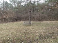 Cherry Hill Nature Preserve 2017.  Cherry Hill Nature Preserve 2017. : kasdorf, nature preserve, Rave Run, running, Trail Run