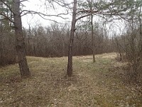 Cherry Hill Nature Preserve 2017.  Cherry Hill Nature Preserve 2017. : kasdorf, nature preserve, Rave Run, running, Trail Run