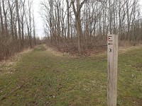 Cherry Hill Nature Preserve 2017.  Cherry Hill Nature Preserve 2017. : kasdorf, nature preserve, Rave Run, running, Trail Run