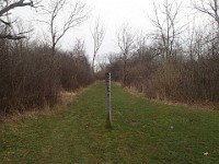 Cherry Hill Nature Preserve 2017.  Cherry Hill Nature Preserve 2017. : kasdorf, nature preserve, Rave Run, running, Trail Run
