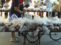 Race Photo  The Ann Arbor Track Club (AATC) hosts the annual Dexter to Ann Arbor Half Marathon run. These photos are the 2009 run. : Fitness, Races, Running, Half Marathon
