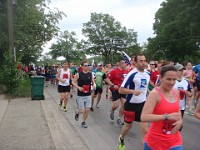 Race Photo - Half Marathon  2013 Dexter to Ann Arbor Half Marathon : Ann Arbor, Half Marathon, Michigan, Race, United States, USA