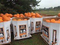 2017 Run Scream Run 10K 2017 Run Scream Run 10K at Wiards Orchard south of Ann Arbor.