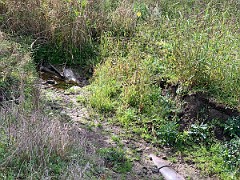 2020-10-13 LeFurge Broken Culvert 1  Broken culvert in extreme SE corner of this field.