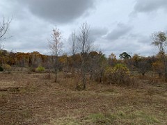 2020-10-26 LeFurge Field Clearning 01  A few random shots of the mostly cleared area, some clean up yet to be done.