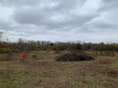 2020-10-26 LeFurge Field Clearning 02  A few random shots of the mostly cleared area, some clean up yet to be done.