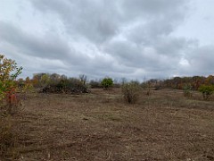 2020-10-26 LeFurge Field Clearning 04  A few random shots of the mostly cleared area, some clean up yet to be done.