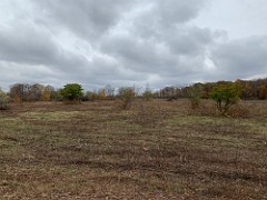 2020-10-26 LeFurge Field Clearning 06  A few random shots of the mostly cleared area, some clean up yet to be done.