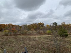 2020-10-26 LeFurge Field Clearning 07  A few random shots of the mostly cleared area, some clean up yet to be done.