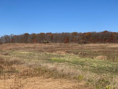 2020-11-04 LeFurge SE Corner Clearing 08  The East side of the field is 100% complete now.