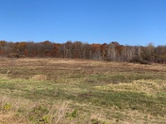 2020-11-04 LeFurge SE Corner Clearing 09  The East side of the field is 100% complete now.