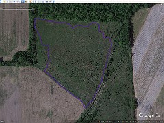 LeFurge South 5-9-2010  LeFurge South (6) 5-9-2010: From Google Earth Historical Maps. Showing progression of growth.
