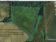 LeFurge South 6-29-2007  LeFurge South (5)  6-29-2007: From Google Earth Historical Maps. Showing progression of growth.
