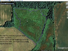 LeFurge South 6-29-2007  LeFurge South (5)  6-29-2007: From Google Earth Historical Maps. Showing progression of growth.